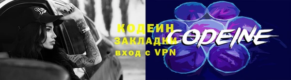 индика Гусь-Хрустальный