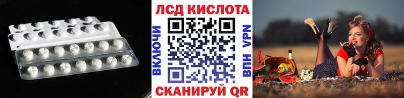 дарк нет официальный сайт  Николаевск  LSD-25 экстази кислота  ОМГ ОМГ сайт 