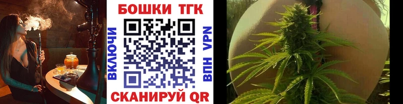 Бошки Шишки планчик  Николаевск 